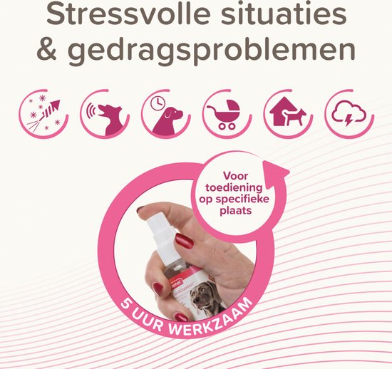 Beaphar CaniComfort® Kalmerende spray 60ml