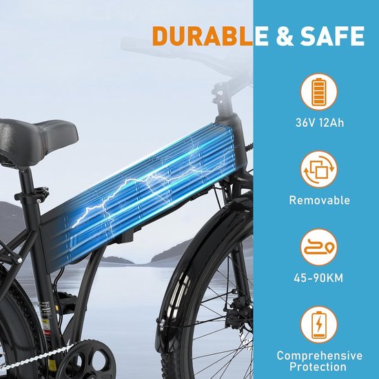 MEGHNA 20 x 4,0 en 26 x 4,0 inch brede fietsbanden voor fatbikes, e-bikes en strand cruiser, retro design in zwart met bruine flank