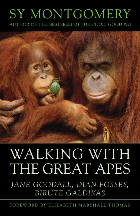Walking with the Great Apes - cover