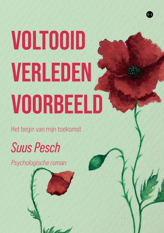 Voltooid verleden voorbeeld - cover
