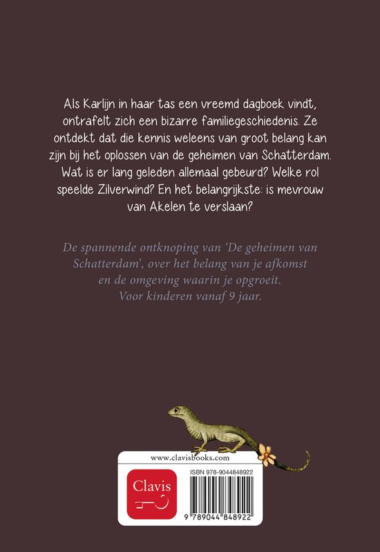 De geheimen van Schatterdam - Zilverwind