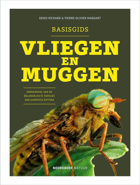 Basisgids vliegen en muggen - cover