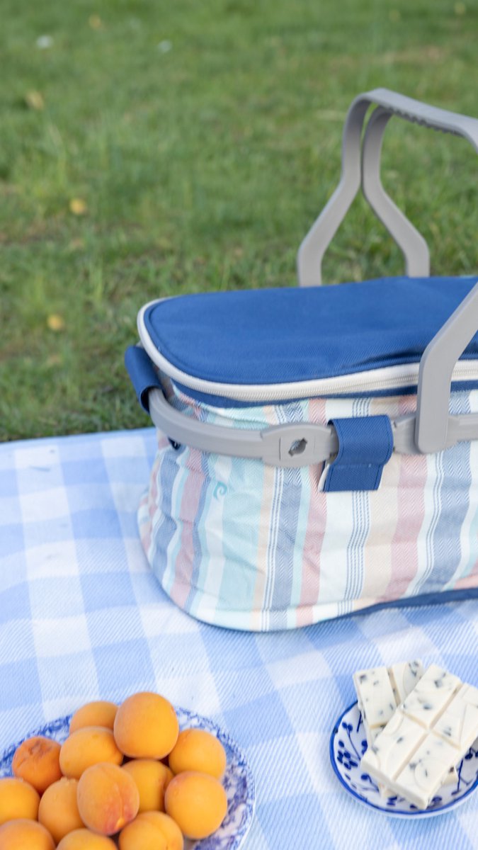 Geïsoleerde Koeltas| Lunchtas| Thermotas| 22 Liter| Picknicktas| Isolatie| Kamperen van Merkloos — afbeelding 3