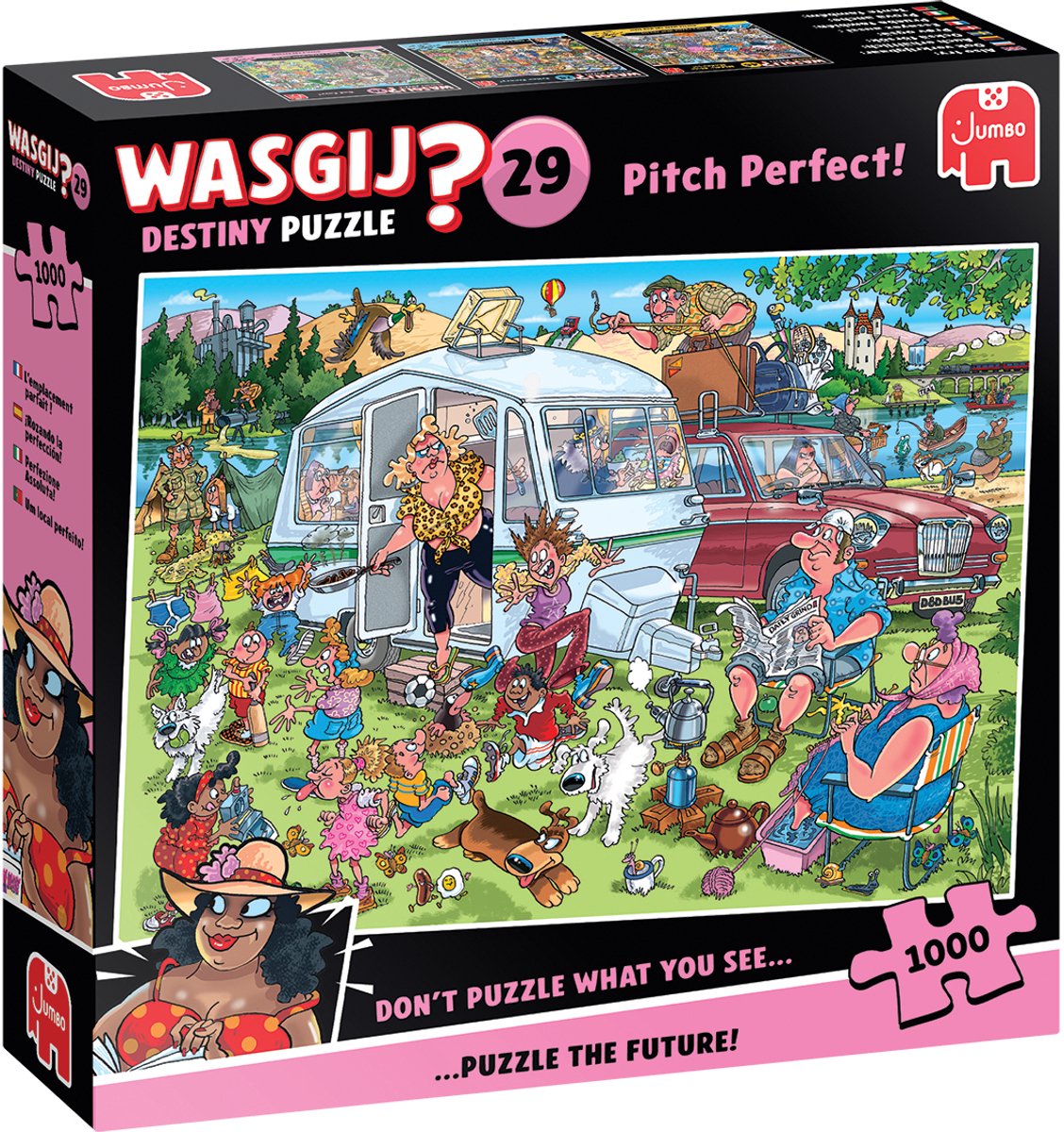 Wasgij Destiny 29 - Op de camping! - Pitch Perfect! - 1000 stukjes puzzel - Legpuzzel