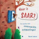 Waar is Saar?