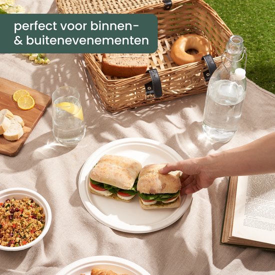 Picnic met twee belegde broodjes op een bord, een mand, drinken en een boek.