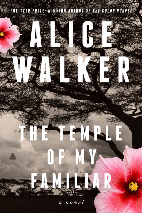 The Temple of My Familiar - cover