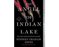 Omslag van The Angel of Indian Lake