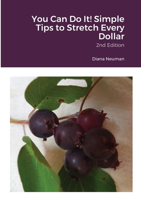 You Can Do It! Simple Tips to Stretch Every Dollar - cover