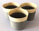Pot de fleurs d'intérieur - lot de 3 pots de fleurs - panier de fleurs en corde de papier naturel à rayures - pot de fleurs avec doublure en plastique - 13,5 cm x 11 cm