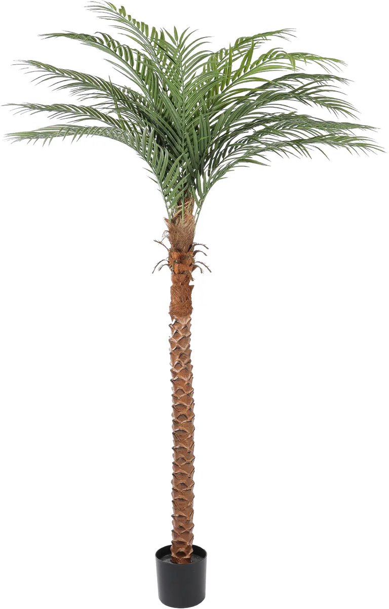 Kunstpalm Cuba – 190 cm – Tropische Palm met Dikke Stam – Kunstplant hoog - Vol bladerdak Donkergroen