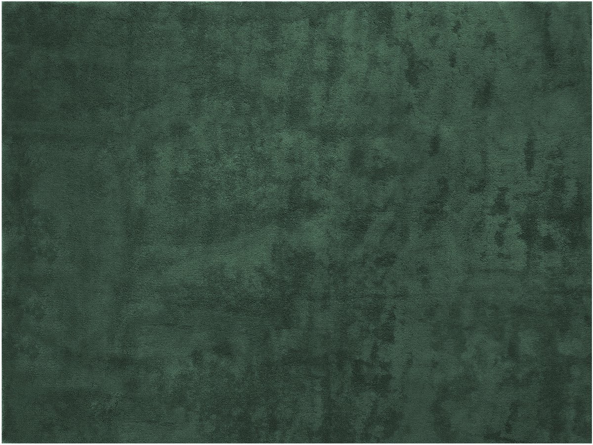 tectake® Kortpolig Vloerkleed - 120 x 170 cm - Groen - 1630 g/m² Poolgewicht - Tapijt voor Woonkamer, Slaapkamer, Eetkamer - Onderhoudsvriendelijk en Wasbaar - Antislip Ondertapijt - Allergievriendelijk - Diverse maten en kleuren
