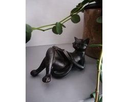 Katdootje - Beeldje lezende kat