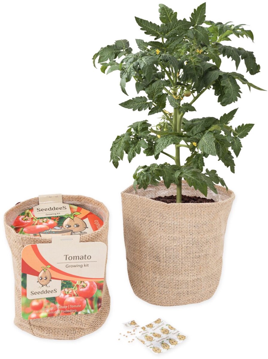 Green gift Jutezak met potgrond en tomatenzaadjes SeeddeeS