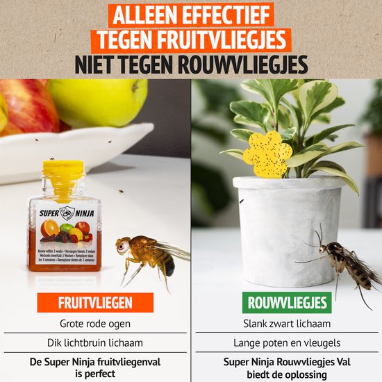 Super Ninja Fruitvliegjes Vanger - 12 Fruitvliegjes vallen - Zeer Effectieve en Ecologische Insectenval om Fruitvliegjes te Bestrijden - Direct Werkzaam, Milieu vriendelijke & Veilige Fruitvliegjesval