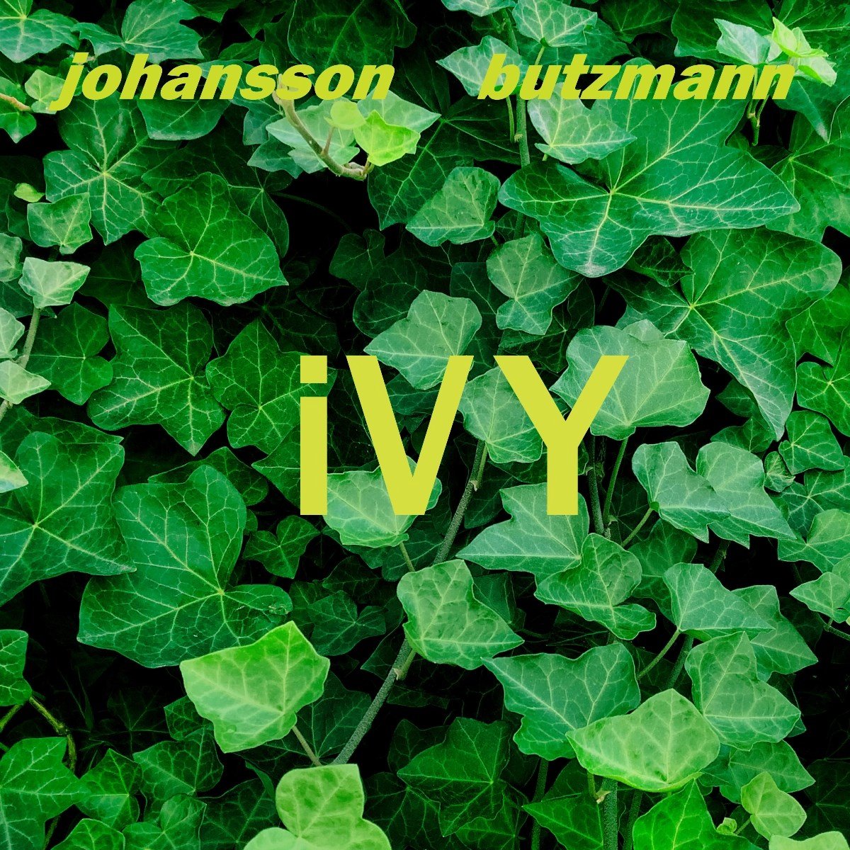 Frieder Butzmann & Jan Ake Johansson - Ivy (LP)