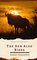 E-book