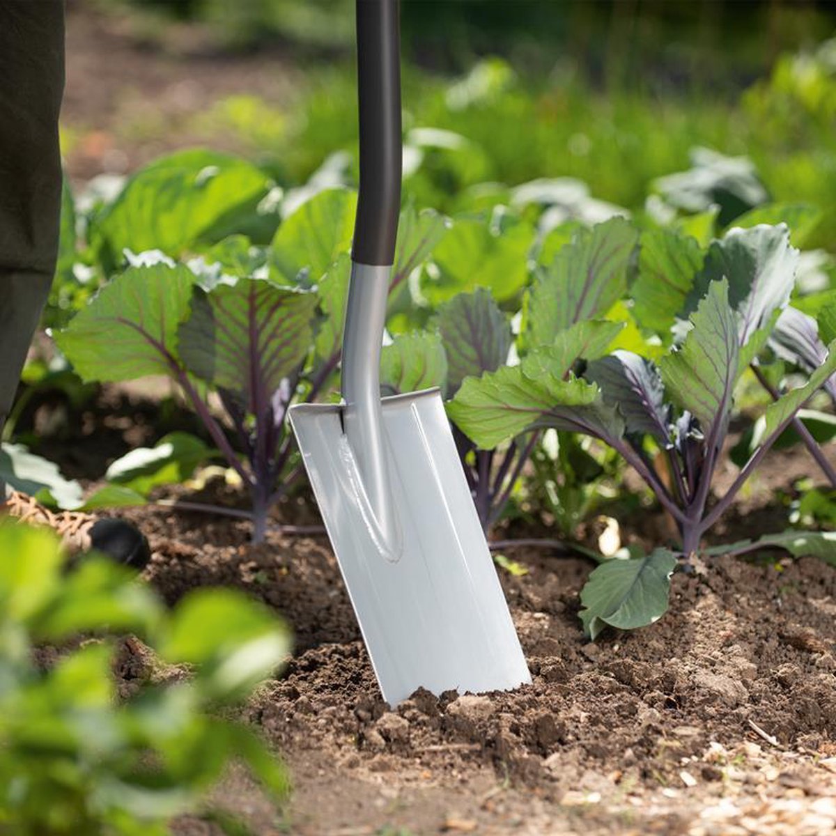 Wolf-Garten - SPADE AS-D — cadeau in Cadeau-ideeën - foto 6