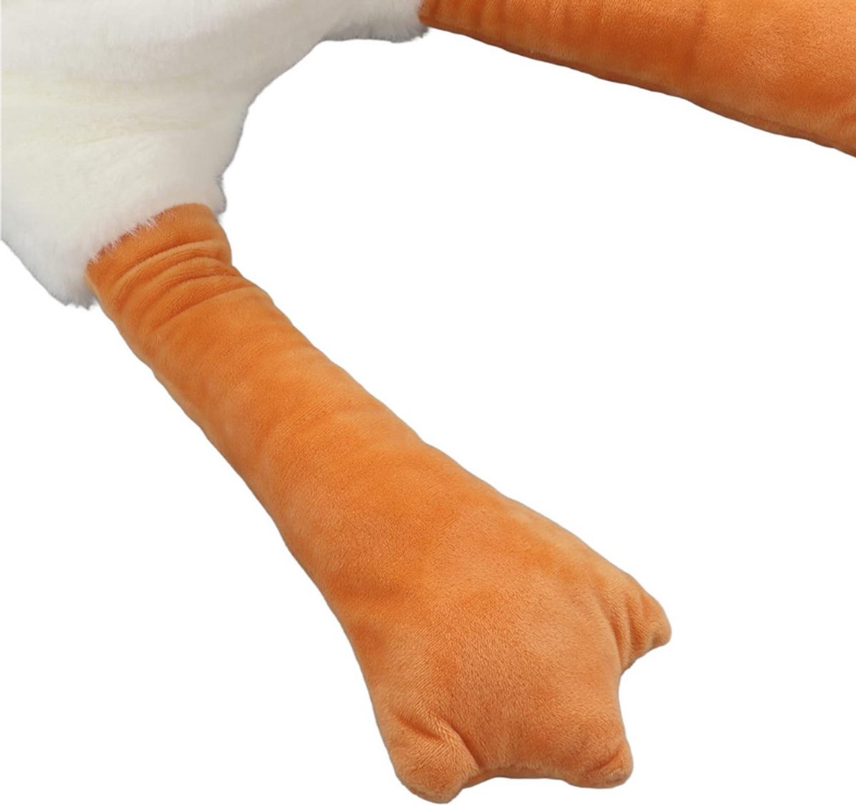 510556_5