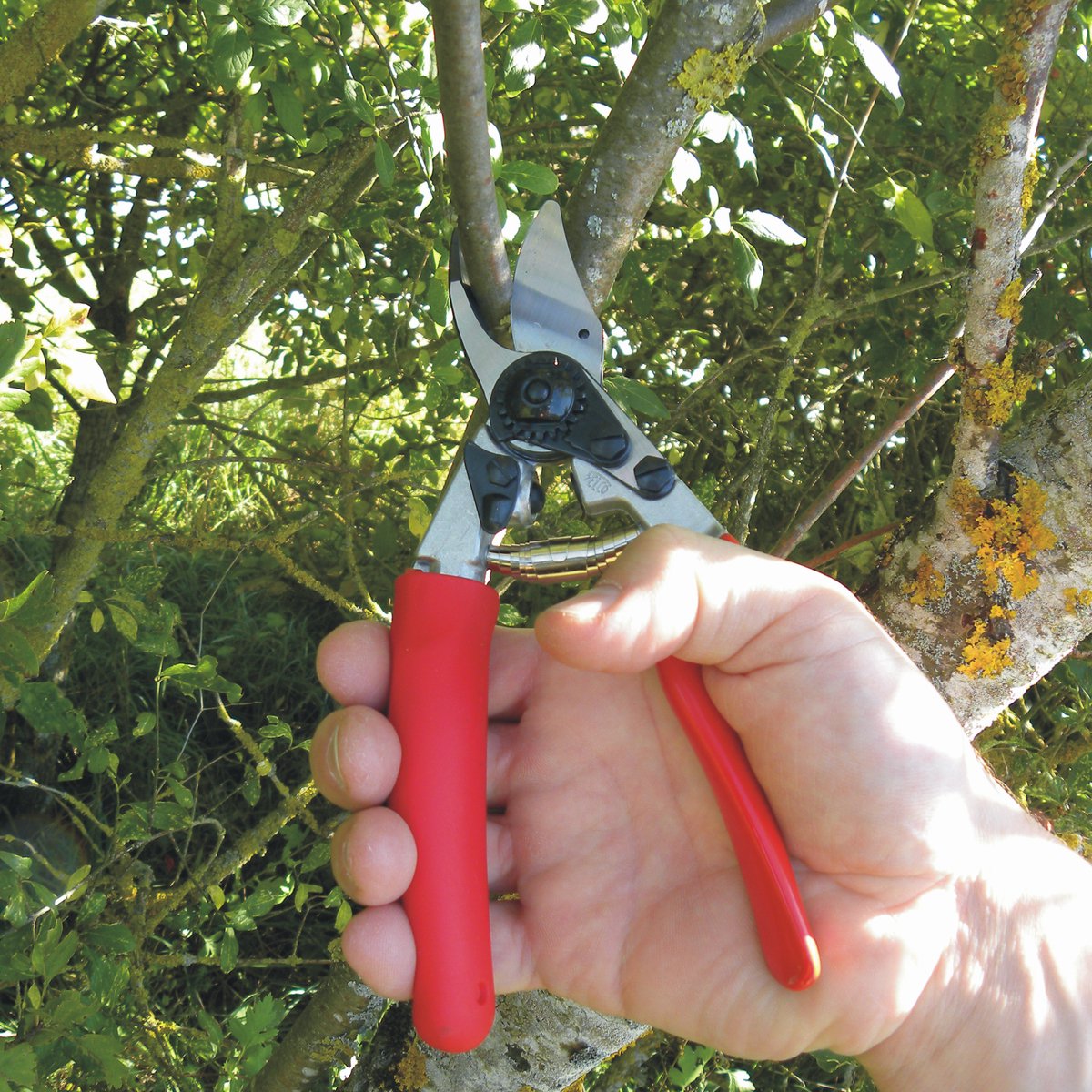 Felco 12 Snoeischaar - Zwitserse Kwaliteit, ergonomisch ontwerp