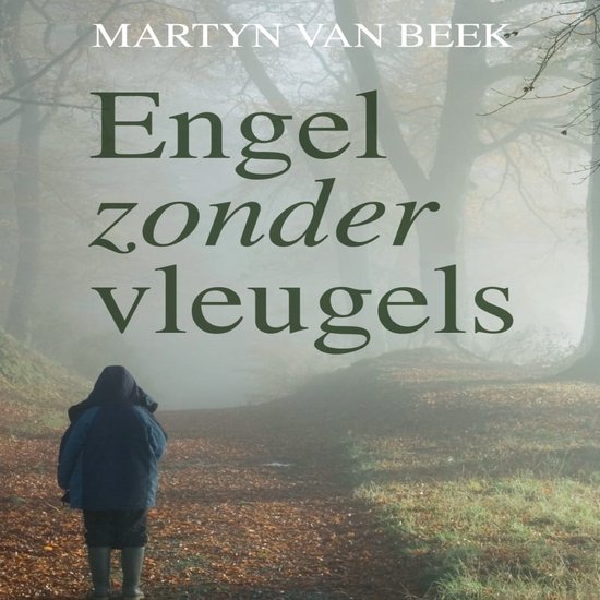 Engel zonder vleugels - cover
