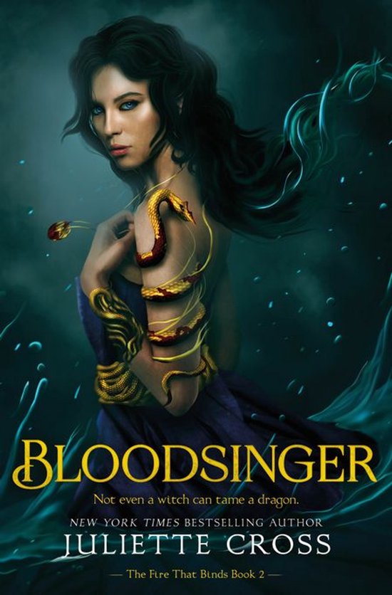 The Fire That Binds 2 - Bloodsinger - cover
