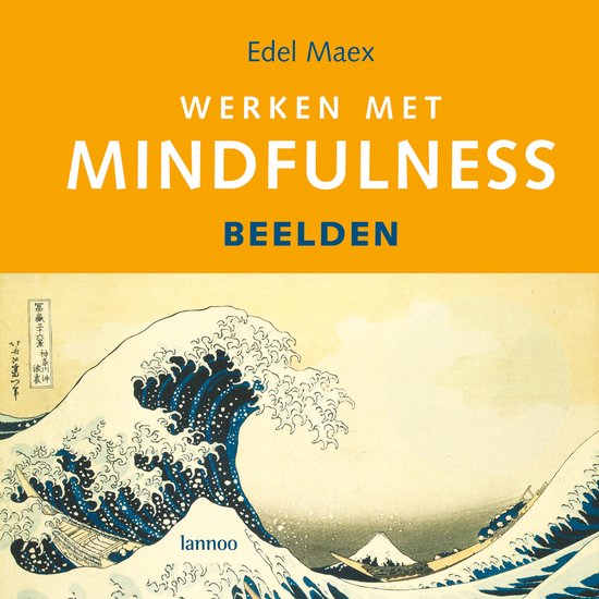 Werken met Mindfulness - cover