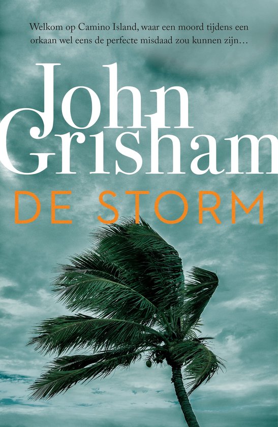 John Grisham De Storm. Een palmboom in de wind tegen een dramatische lucht.