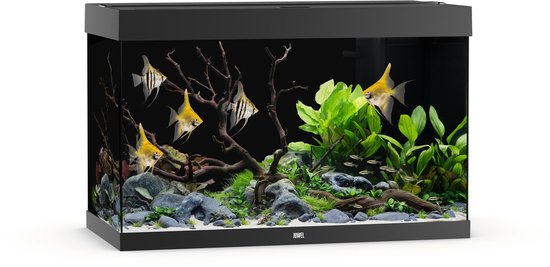 Juwel Rio 290 Led - Aquarium - 101x51x66 cm Zwart