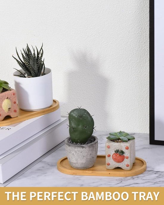 Flexzion Duivelse Eierenschaal - Keramisch Wit Porselein 25 Koppen (2-Pack) Serveerschaal voor Hardgekookte Eieren, Paasei Houder & Desserts - Unieke Decoratieve Keukenschotel
