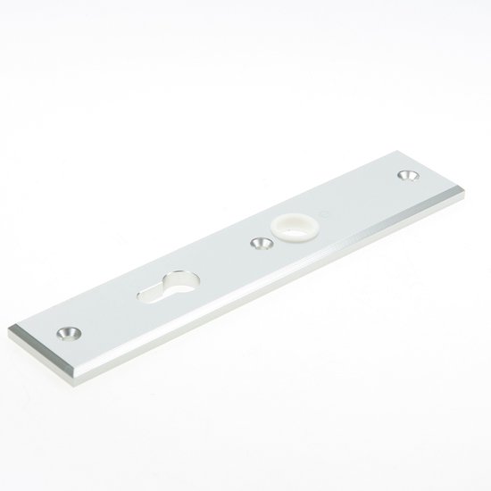 Gâche intérieure en aluminium avec trou de serrure, trou rond et anneau blanc.