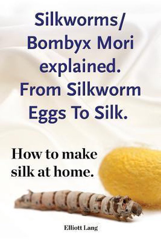 Silkworm/Bombyx Mori explained. From Silkworm Eggs To Silk. How to make