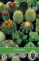 Van Hemert & Co - Cactuszaden Mengsel
