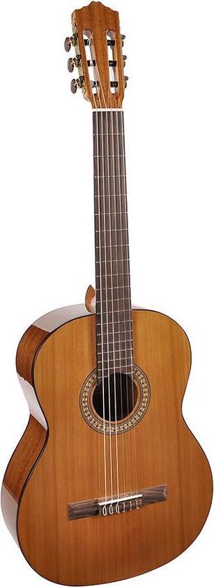 heilig zitten triatlon Salvador Cortez CC-22 klassieke gitaar met massief ceder bovenblad | bol.com