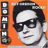 Domino Roy Rocks