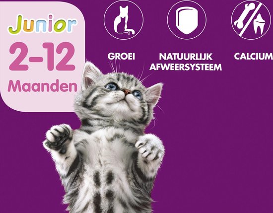 WHISKAS Whis multipack pouch junior vlees in saus | bol.com