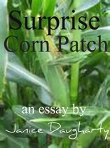 Surprise Corn Patch
