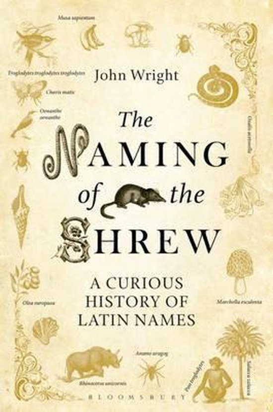 Naming Of The Shrew - cover
