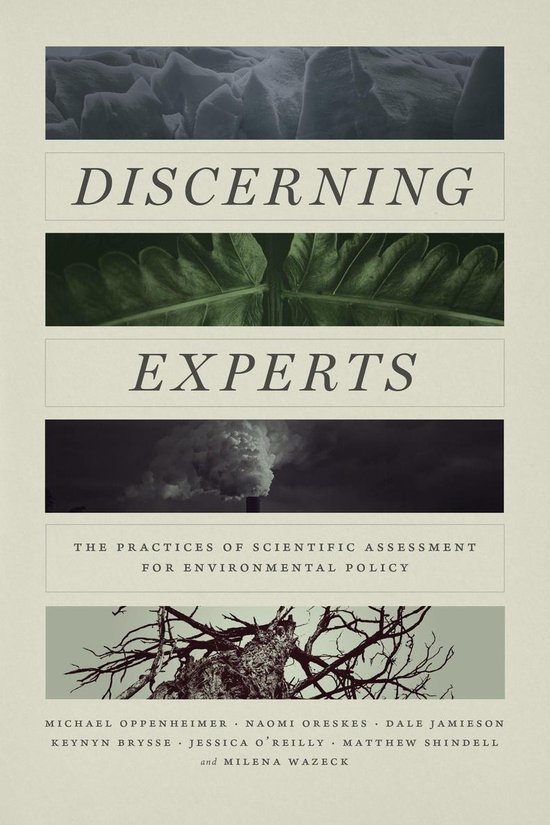 Discerning Experts - cover