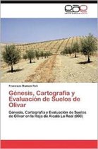 Genesis, Cartografia y Evaluacion de Suelos de Olivar