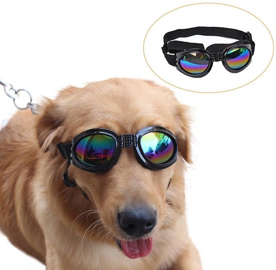 N.T.S. Zonnebril voor honden - Zwart - 100 % UV Zonnebril - Zon, Herfst  bos, strand... | bol.com