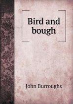 Bird and Bough