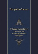 A Calme consolatory view of the sad tempestuous affaires in England