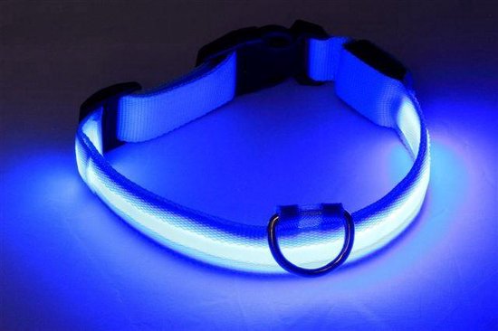 schending maat achterlijk persoon Honden Halsband Met LED Verlichting - Blauw Licht | bol.com