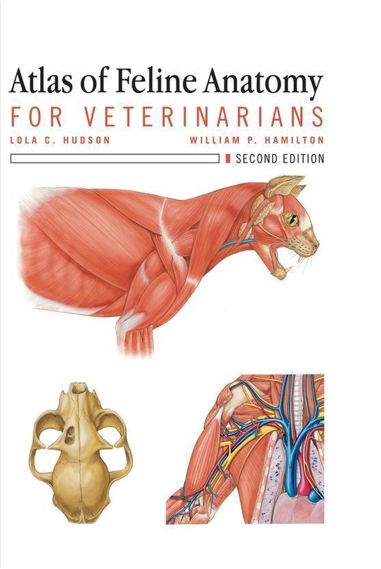 Atlas of Feline Anatomy For Veterinarians - cover