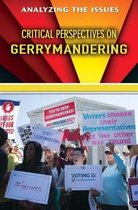 Critical Perspectives on Gerrymandering