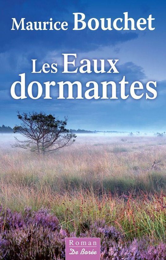 Romans - Les Eaux dormantes