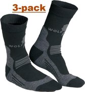 Wolf Camper Technische sok 3-pack 46-48