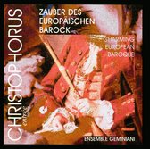 Charming European Baroque / Ensemble Geminiani