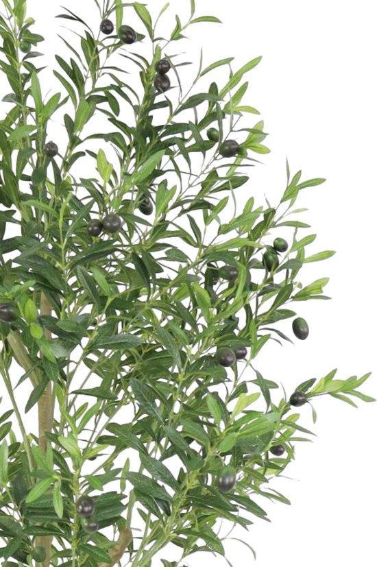 Olijfboom 180cm | Faux Olijfboom | Grande plante artificielle | Plantes artificielles pour l'intérieur | Faux Olijfboom | Plante artificielle d'olive